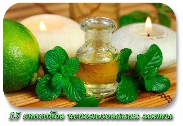 ffee7ce5797b5df46f0e0eeca74132f0